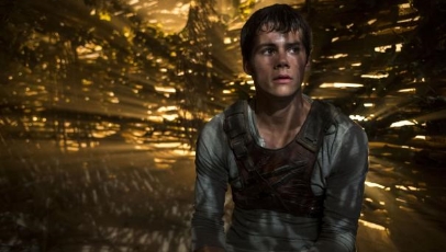 The Maze Runner